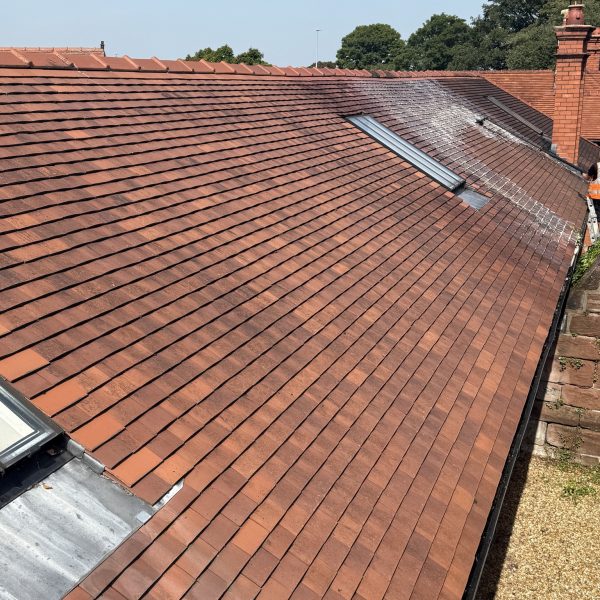 554358325_1189066529780534_150671321591673646_n