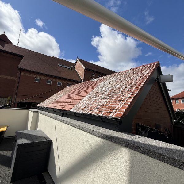 554834411_1189066563113864_8118374985000031051_n