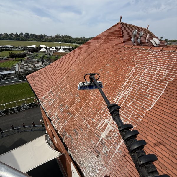 555895181_1189065369780650_1194428377075515405_n